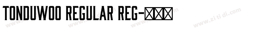 TonduW00 Regular Reg字体转换
